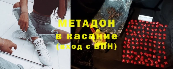 шишки Слюдянка